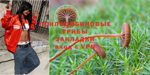 хмурый Зеленокумск