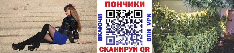 сколько стоит Ишим Каннабис THC 21%